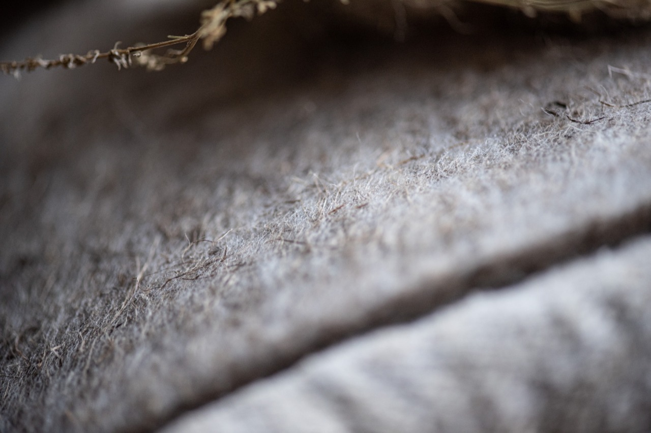 WhatsApp Image 2021-12-21 at 12.51.38